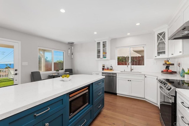 kitchen with blue cabinetry, stainless steel appliances, plenty of natural light, and sink