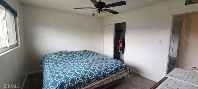 bedroom featuring ceiling fan, multiple windows, a closet, and carpet flooring