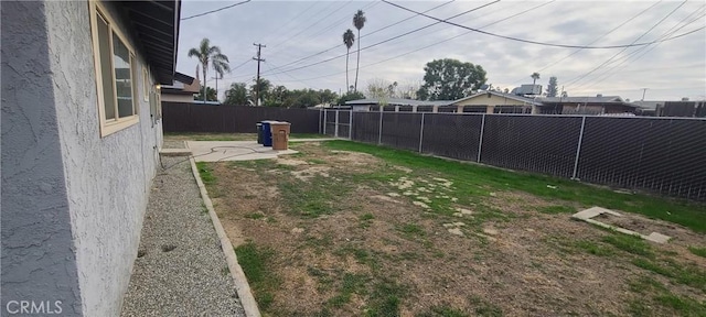 view of yard featuring a patio