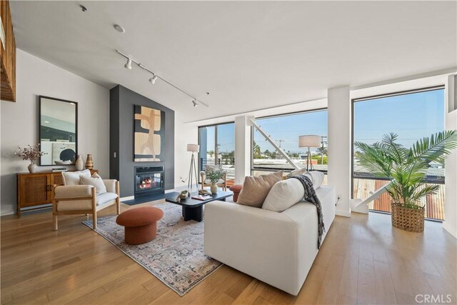 living room with hardwood / wood-style floors, rail lighting, and vaulted ceiling