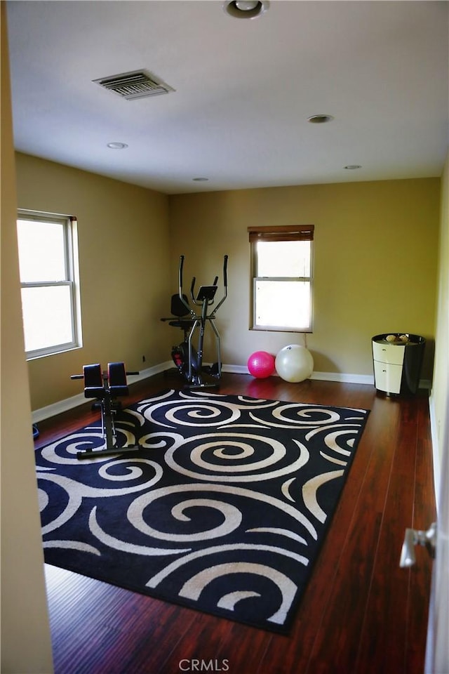 exercise room featuring wood-type flooring