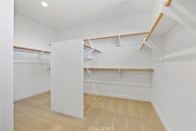 walk in closet featuring light carpet