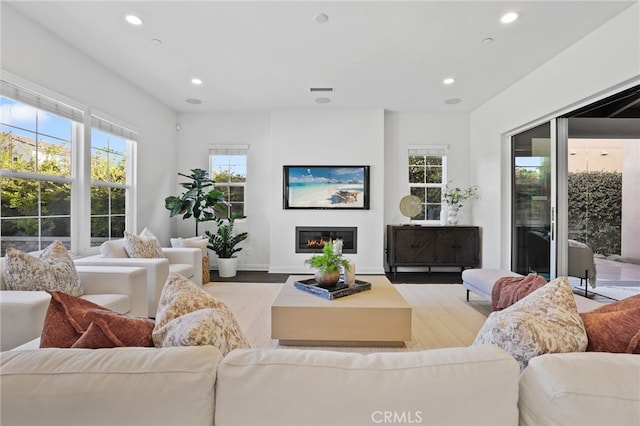 living room featuring light hardwood / wood-style floors