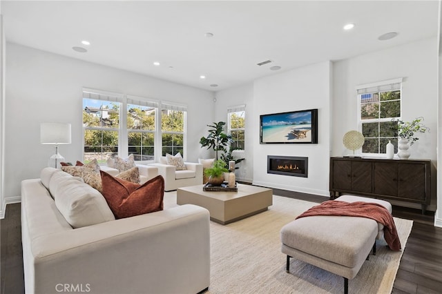 living room with hardwood / wood-style floors and a healthy amount of sunlight