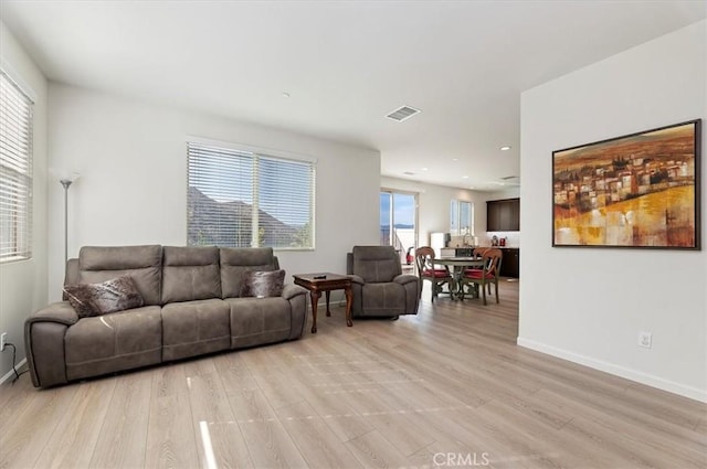 living room featuring light hardwood / wood-style flooring