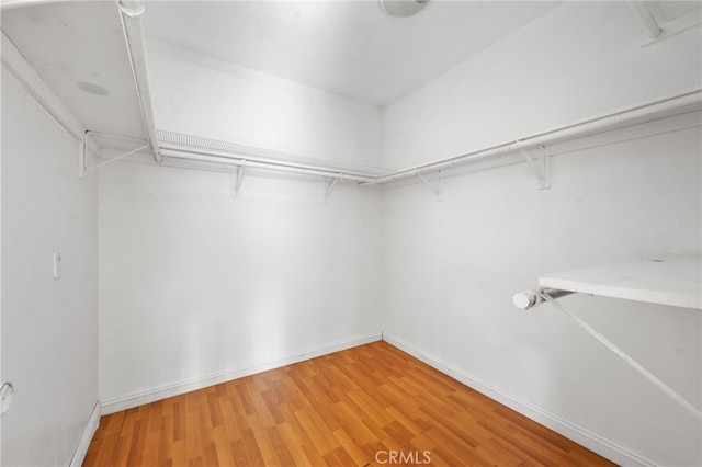 spacious closet featuring hardwood / wood-style floors