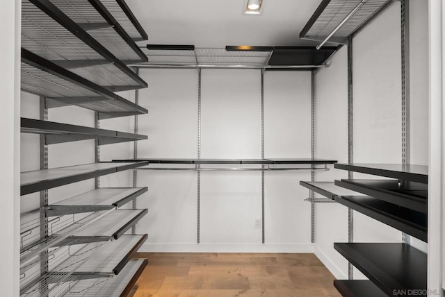 spacious closet featuring light wood-type flooring