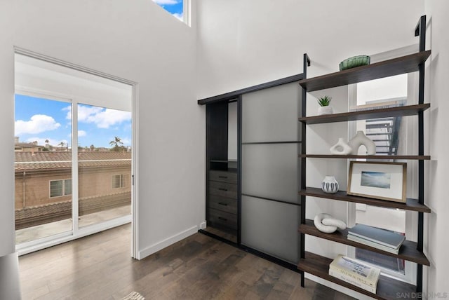 interior space featuring dark wood-type flooring