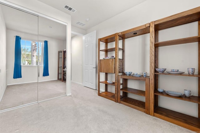 carpeted bedroom featuring a closet