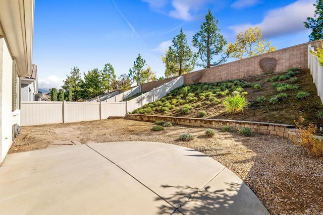 view of yard featuring a patio area