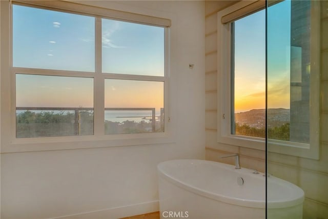 bathroom with a bath and a wealth of natural light