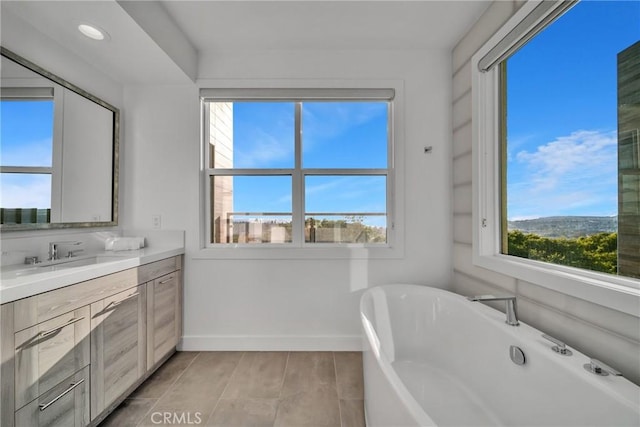 bathroom with hardwood / wood-style floors, plenty of natural light, vanity, and a washtub