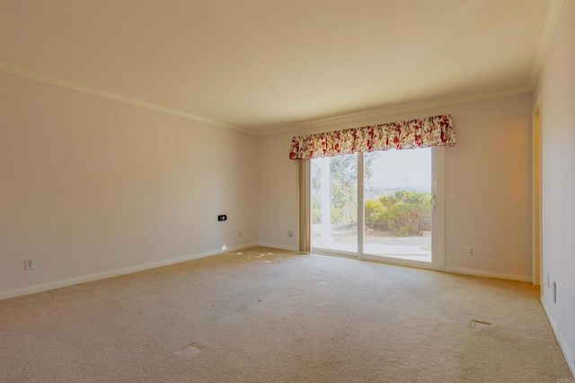 carpeted spare room featuring ornamental molding