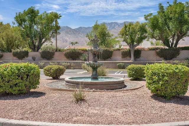 view of yard with a mountain view