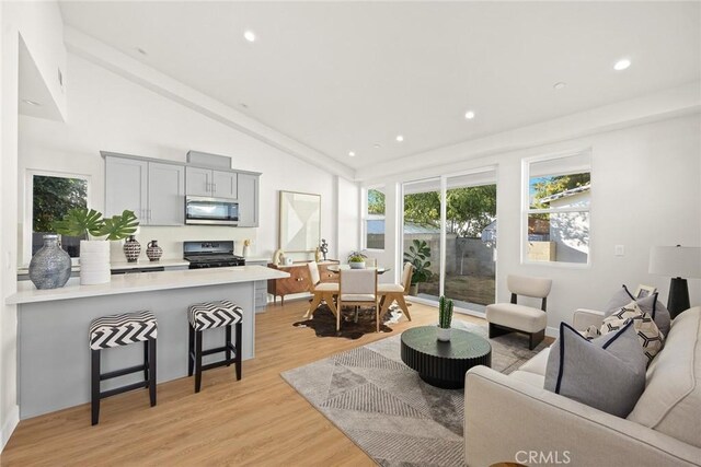 living room with light hardwood / wood-style floors and vaulted ceiling