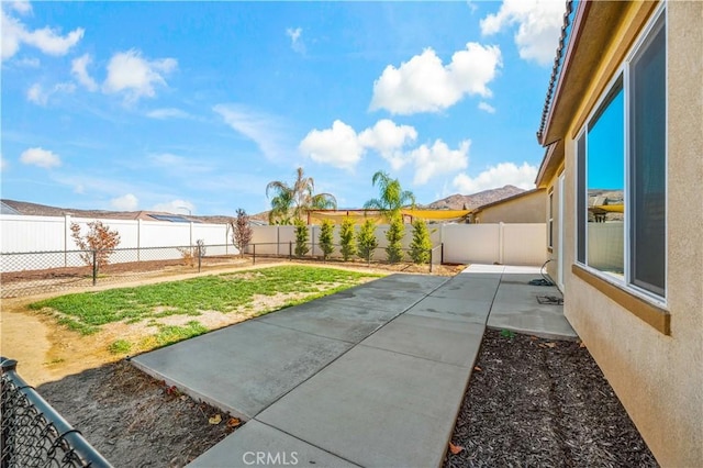 view of yard featuring a patio area