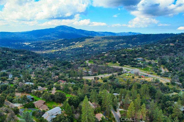 birds eye view of property with a mountain view