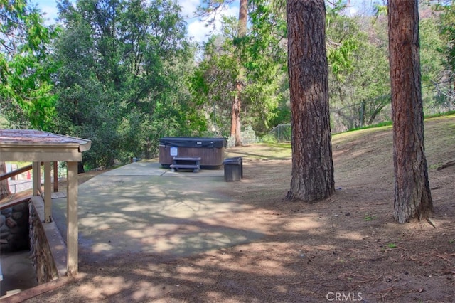 view of yard with a hot tub