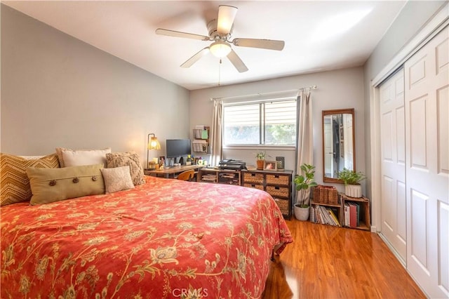 bedroom featuring ceiling fan and hardwood / wood-style floors