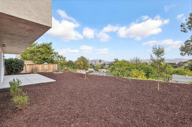 view of yard featuring a patio area