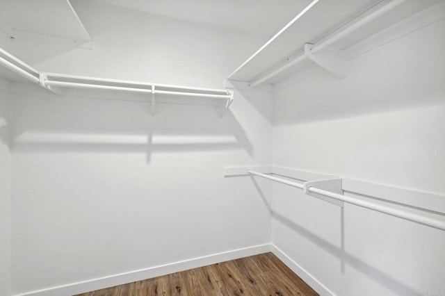 spacious closet featuring hardwood / wood-style flooring