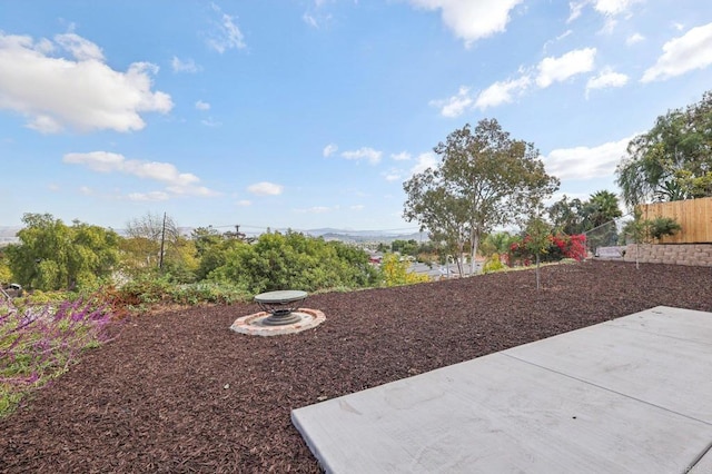 view of yard featuring a patio