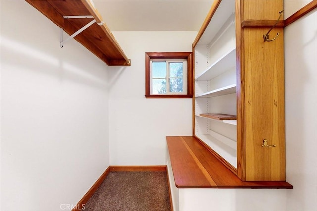 walk in closet featuring dark colored carpet