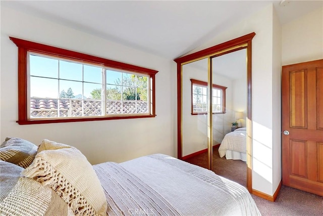 bedroom featuring a closet and carpet flooring