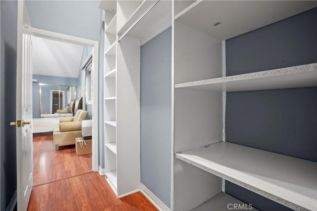 spacious closet with hardwood / wood-style floors