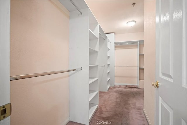 walk in closet featuring carpet flooring