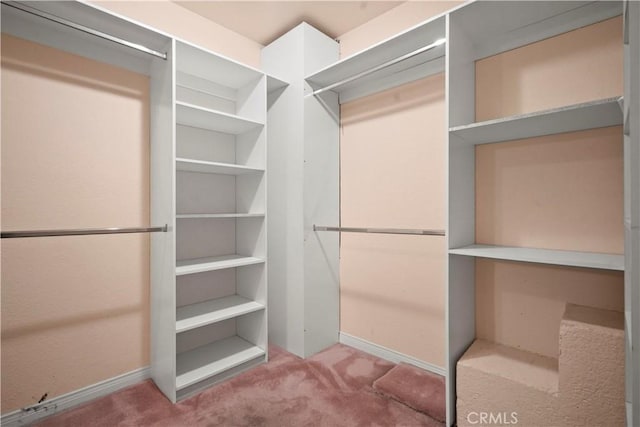 spacious closet with carpet