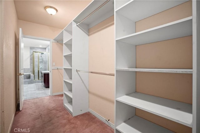 walk in closet with carpet