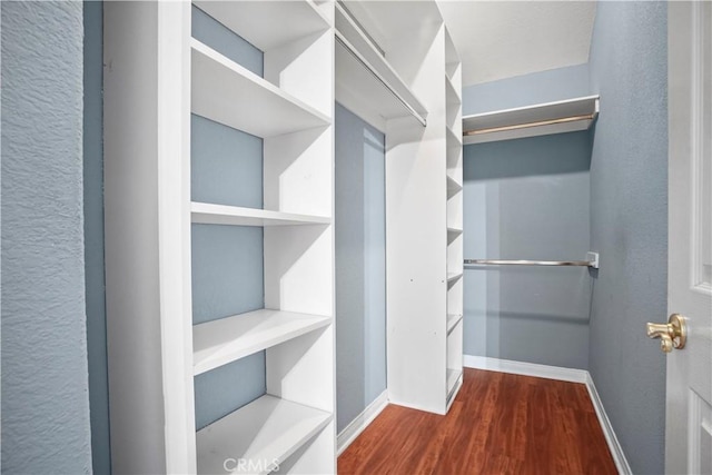 spacious closet with dark wood-type flooring