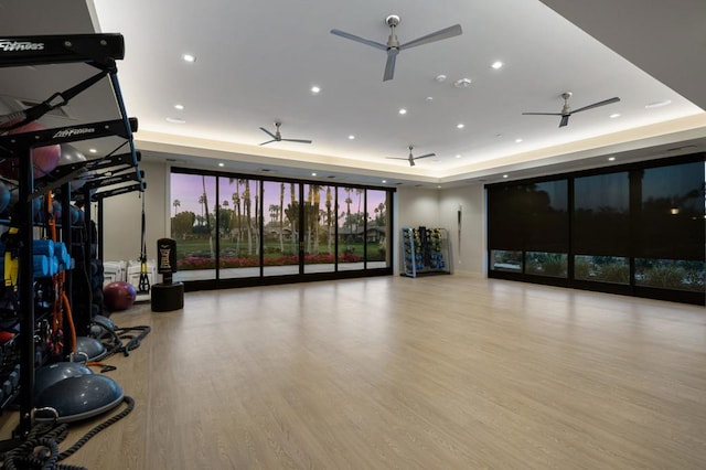 workout room featuring a raised ceiling and light hardwood / wood-style floors