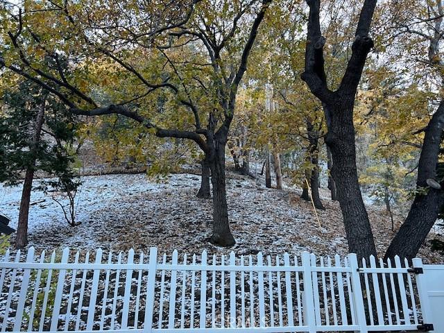 view of yard covered in snow