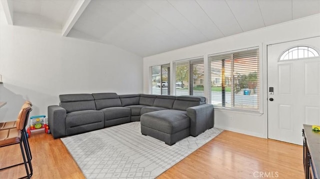 living room with hardwood / wood-style flooring and vaulted ceiling