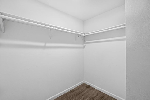 spacious closet with dark hardwood / wood-style flooring