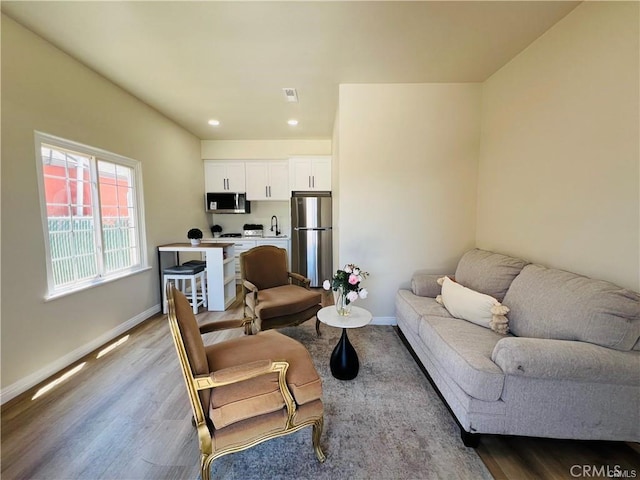 living room featuring hardwood / wood-style flooring and sink