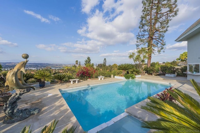 view of swimming pool with a patio area