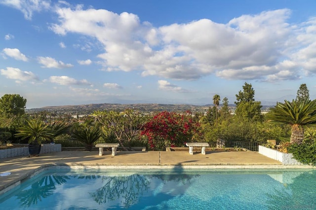 view of pool featuring a patio area