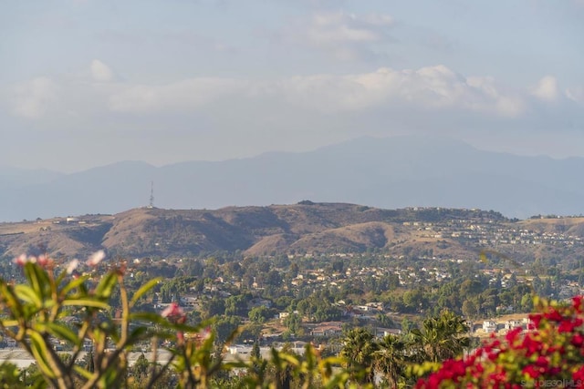 view of mountain feature