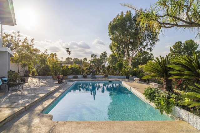 view of pool featuring a patio area