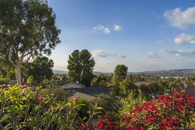 exterior space featuring a mountain view