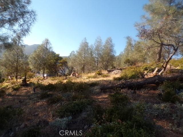 10070 El Capitan, Kelseyville, CA 95451 - photo 2