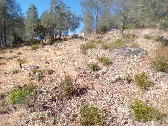 10070 El Capitan, Kelseyville, CA 95451 - photo 1
