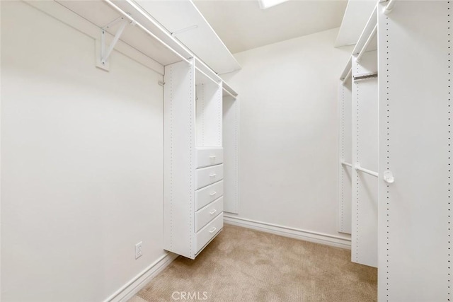 spacious closet featuring light colored carpet