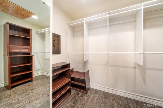 spacious closet featuring electric panel and hardwood / wood-style flooring