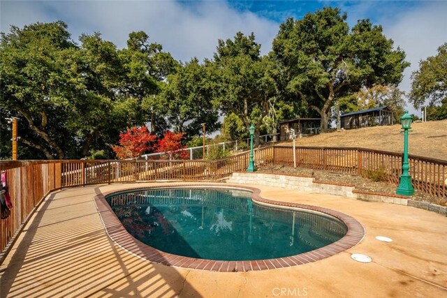 view of swimming pool featuring a patio