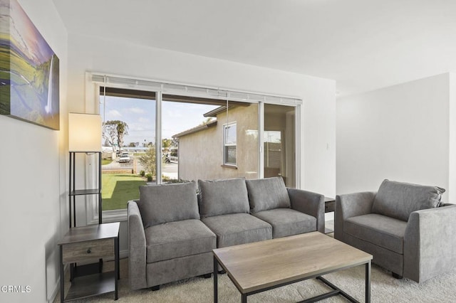 living room with carpet floors