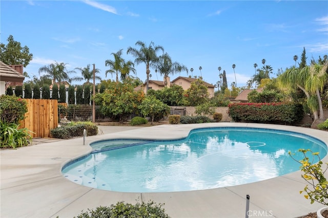 view of swimming pool with a patio